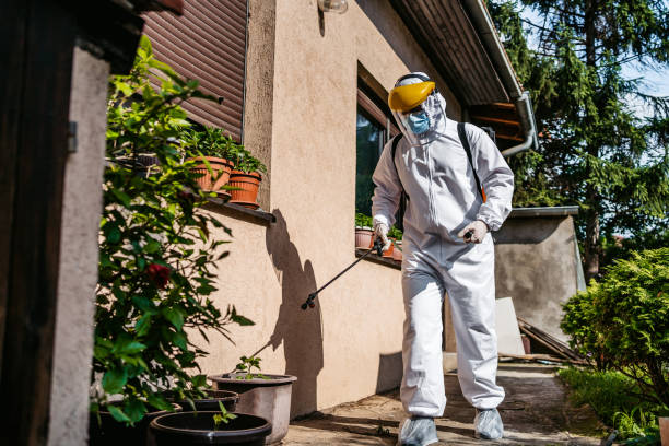 Professional Pest Control in Bennettsville, SC