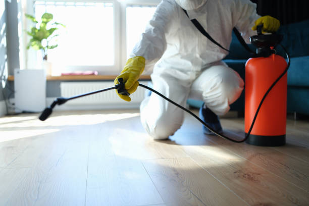 Best Flea Control Services  in Bennettsville, SC