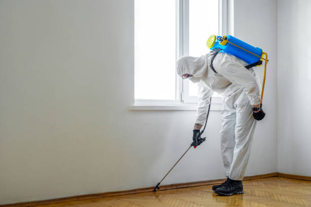 Pest Prevention Services in Bennettsville, SC