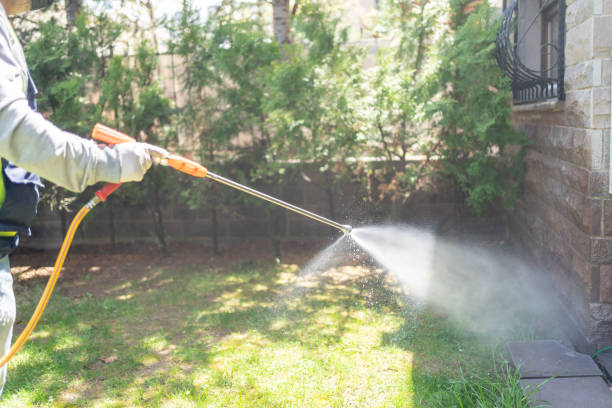 Best Exterminator Services  in Bennettsville, SC
